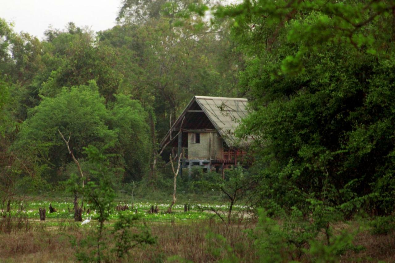 Wasgamu Safari Lodge Wasgamuwa Exteriér fotografie
