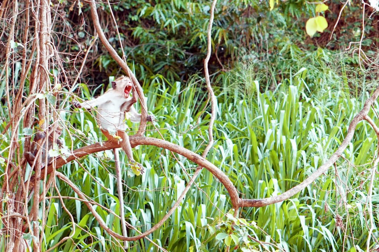 Wasgamu Safari Lodge Wasgamuwa Exteriér fotografie