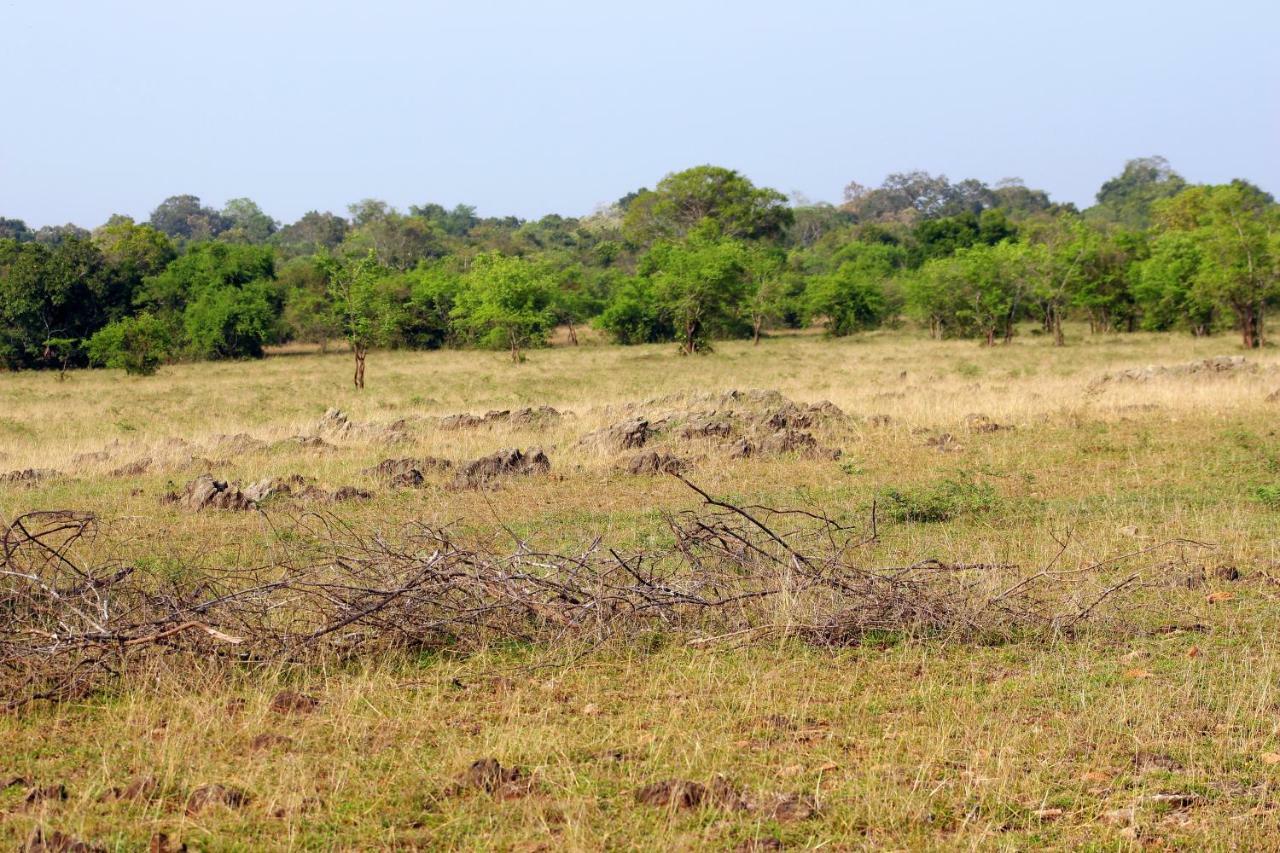 Wasgamu Safari Lodge Wasgamuwa Exteriér fotografie